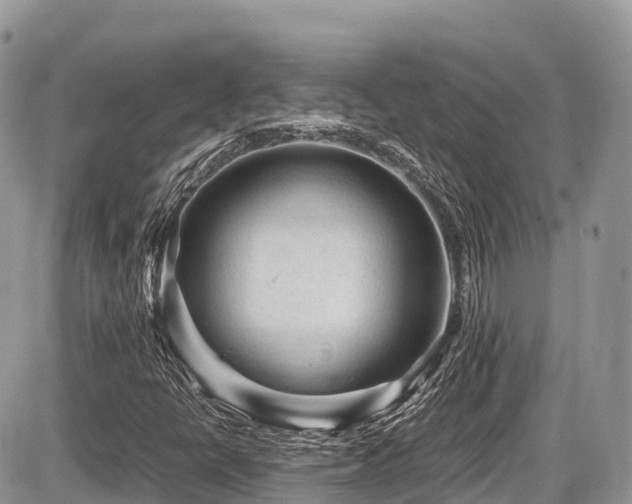 X0000087421398200704201414