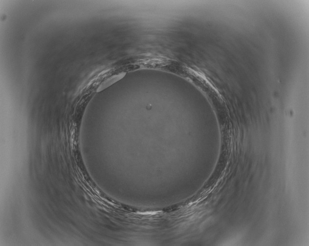 X0000087421399200704201414