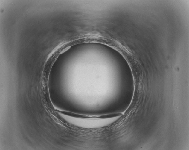 X0000087421400200704201414