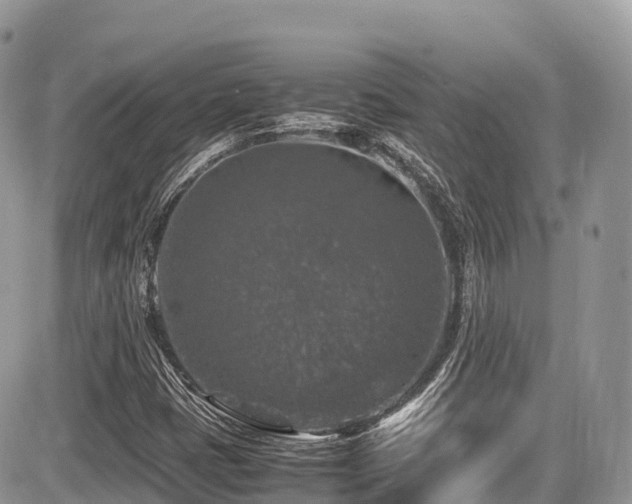 X0000087421401200704201414