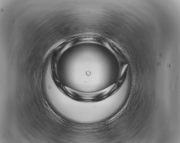 X0000087421402200704201414