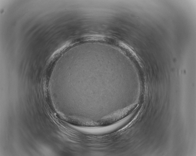 X0000087421403200704201414