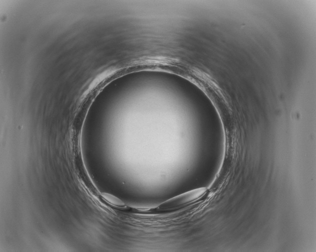 X0000087421404200704201414