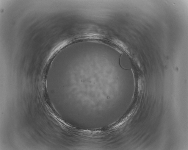 X0000087421405200704201414