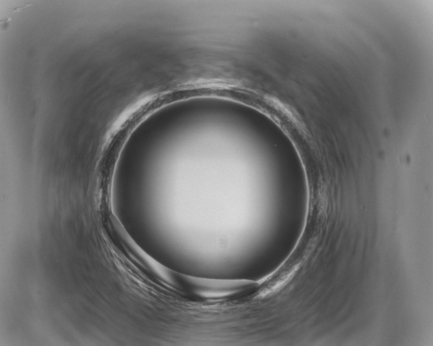 X0000087421406200704201414