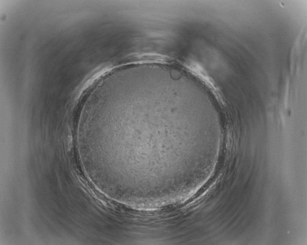 X0000087421407200704201414