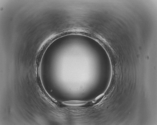 X0000087421408200704201414