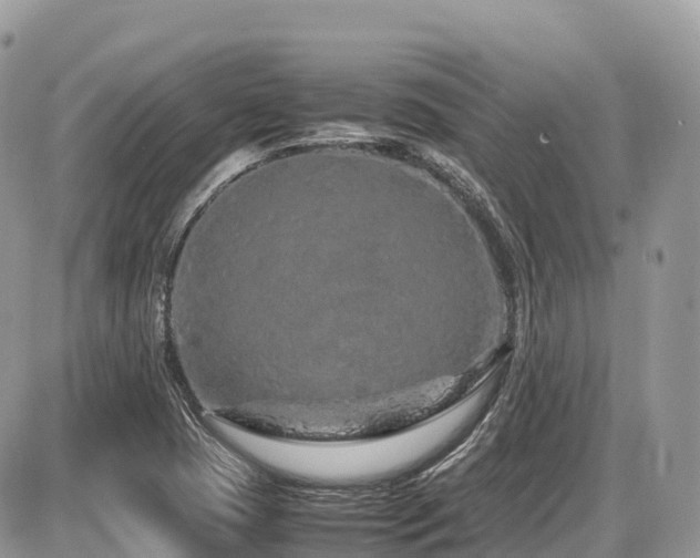 X0000087421409200704201414