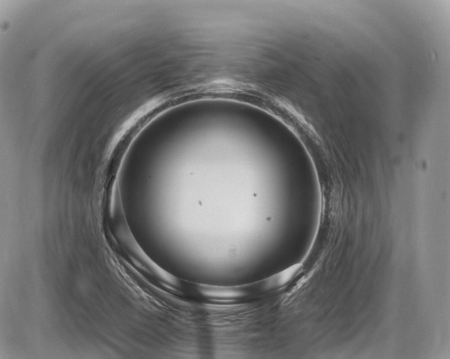 X0000087421410200704201414