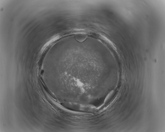 X0000087421411200704201414