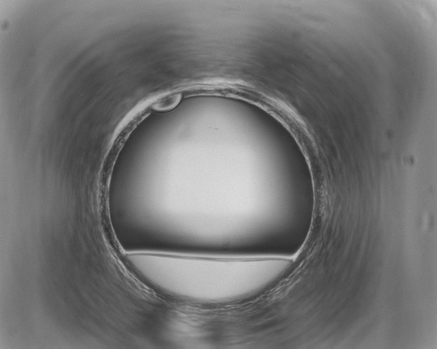 X0000087421412200704201414