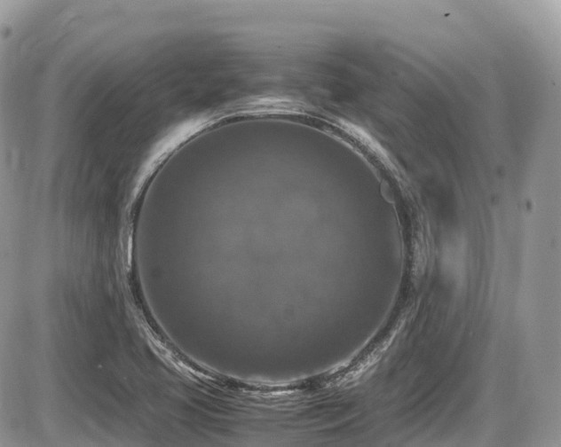 X0000087421413200704201414