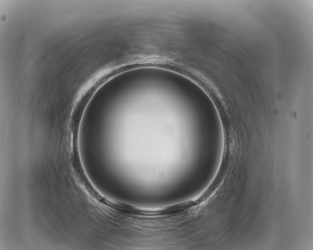 X0000087421414200704201414