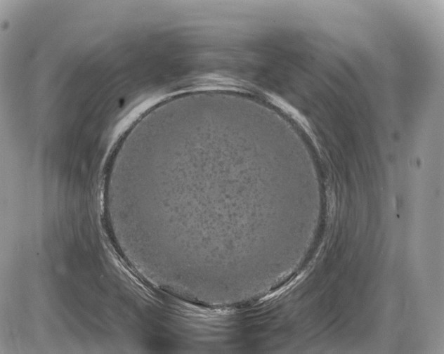 X0000087421415200704201414