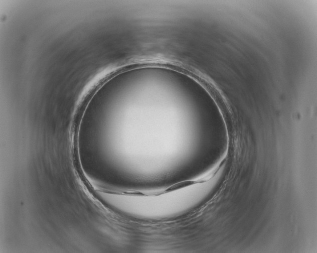 X0000087421416200704201414