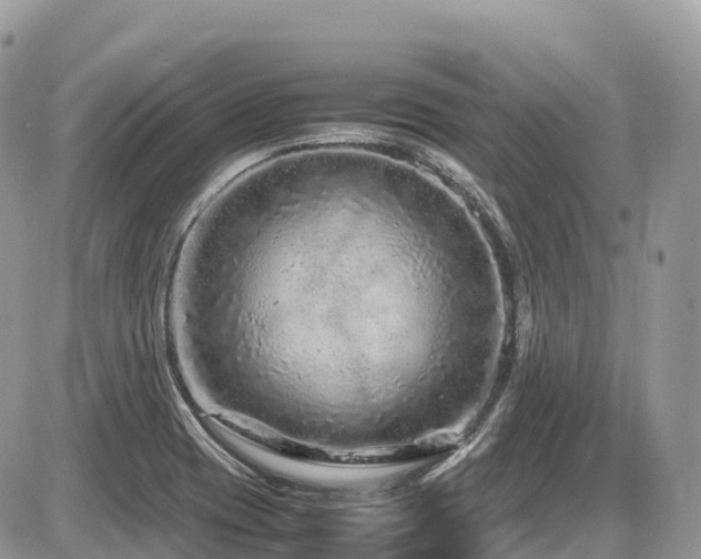 X0000087421417200704201414