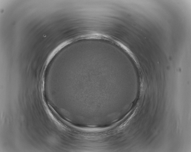 X0000087421418200704201414