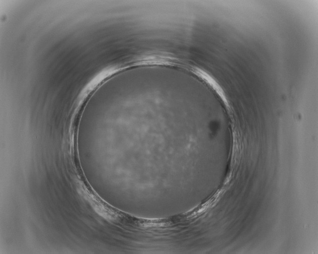 X0000087421419200704201414