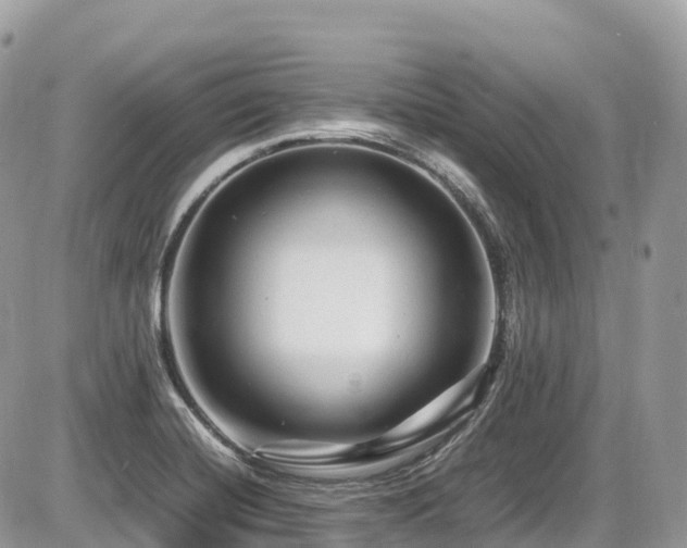 X0000087421420200704201414