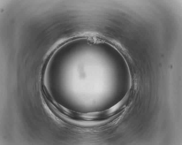 X0000087421422200704201414