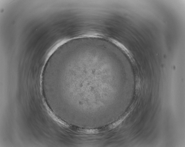 X0000087421423200704201414