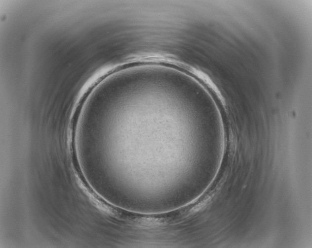 X0000087421424200704201414