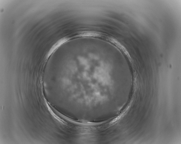 X0000087421425200704201415