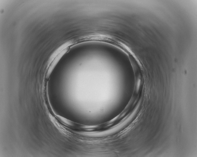 X0000087421426200704201415