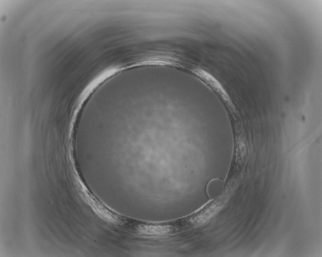 X0000087421427200704201415