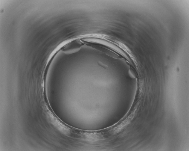 X0000087421428200704201415