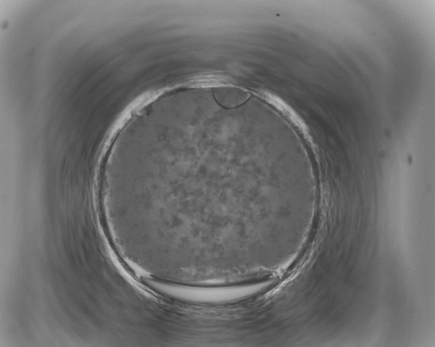 X0000087421429200704201415