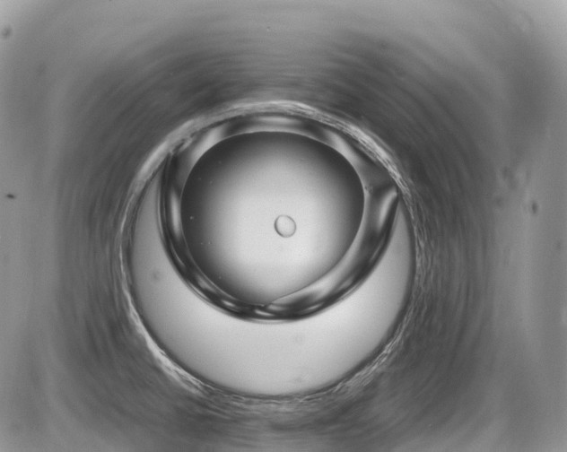 X0000087421430200704201415