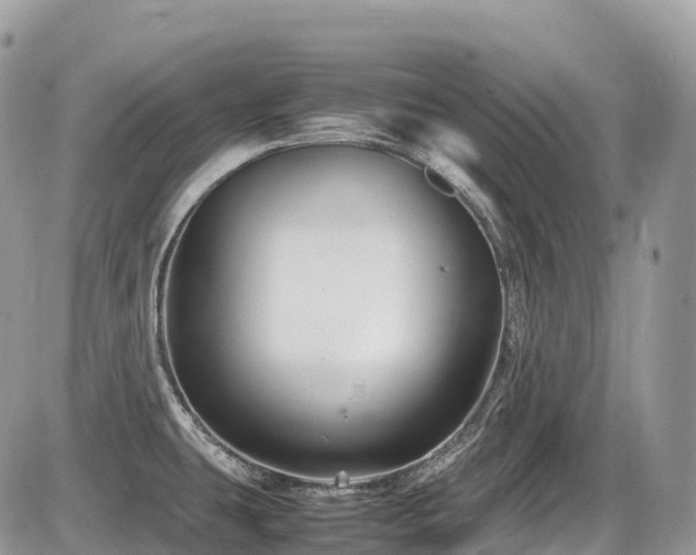 X0000087421431200704201415