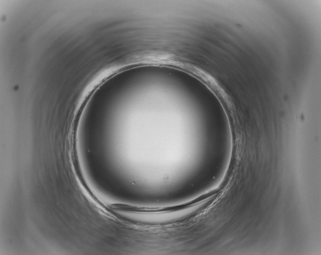 X0000087421432200704201415