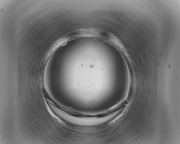 X0000087421433200704201415