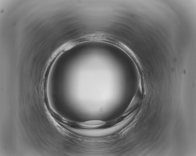 X0000087421434200704201415