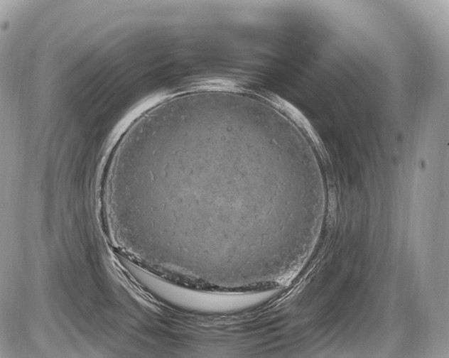 X0000087421435200704201415