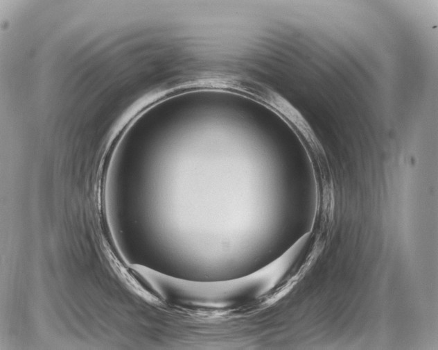 X0000087421436200704201415