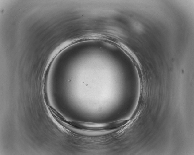 X0000087421437200704201415