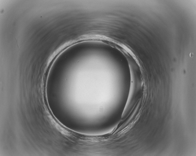 X0000087421438200704201415