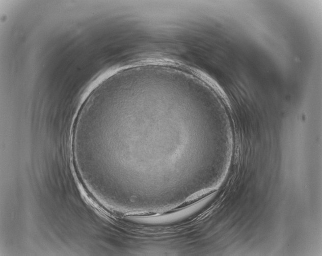 X0000087421439200704201415