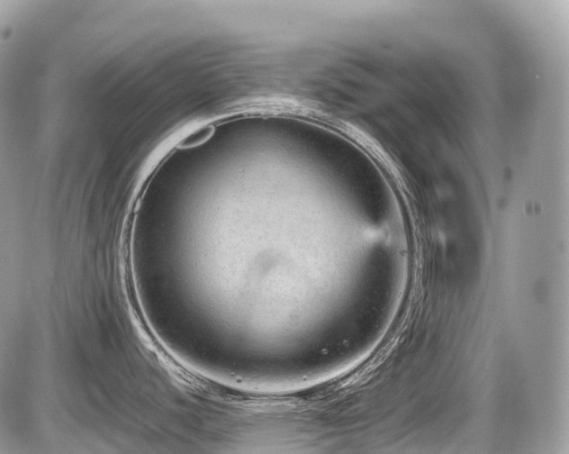 X0000087421440200704201415