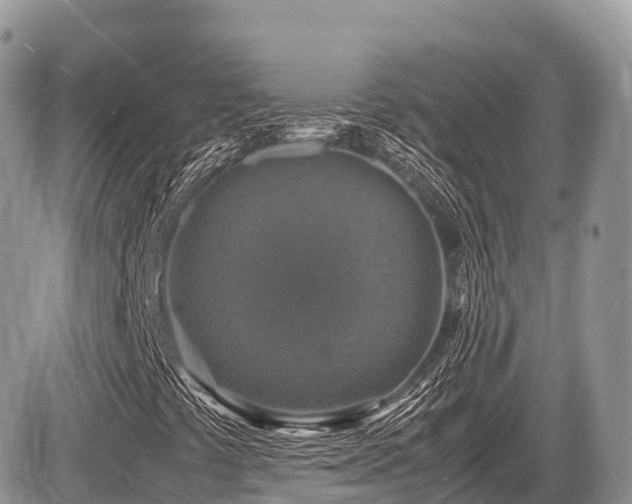 X0000087421441200704201414