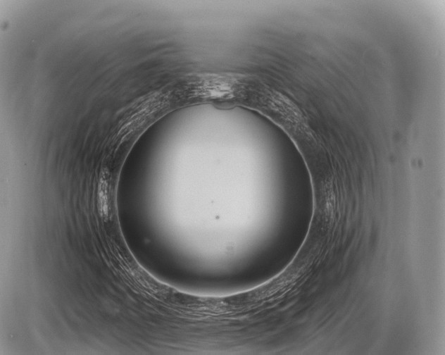 X0000087421442200704201414