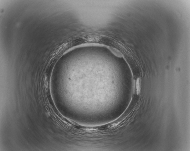 X0000087421443200704201414