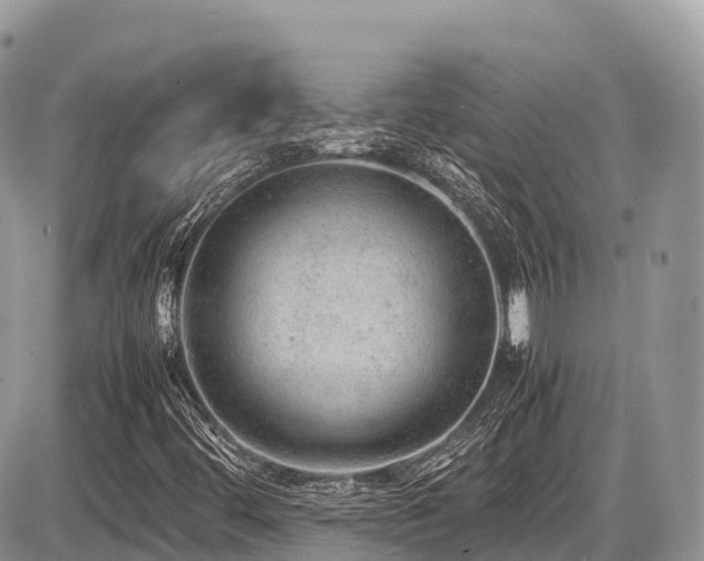 X0000087421444200704201414