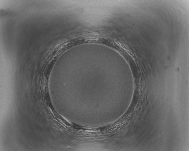 X0000087421445200704201414