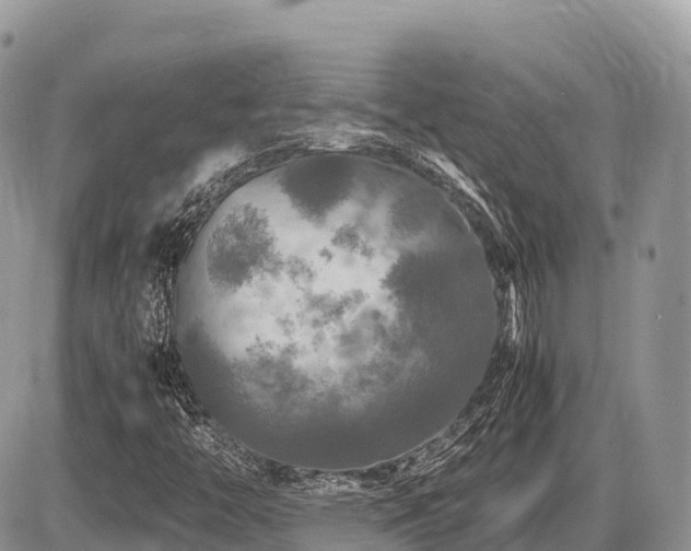 X0000087421446200704201414