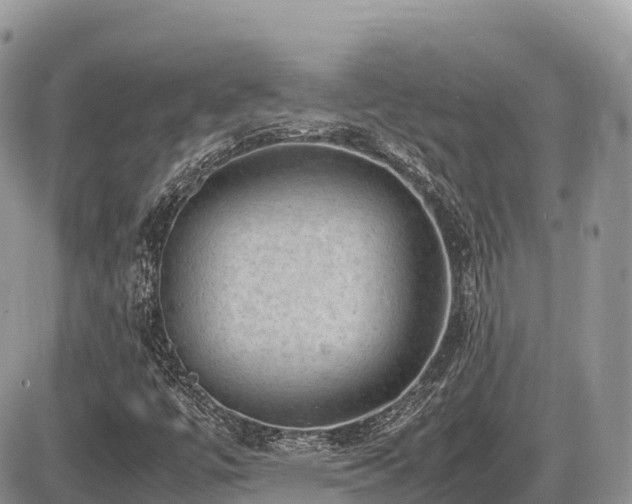 X0000087421447200704201414