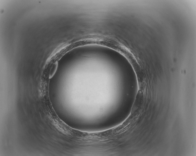 X0000087421448200704201414